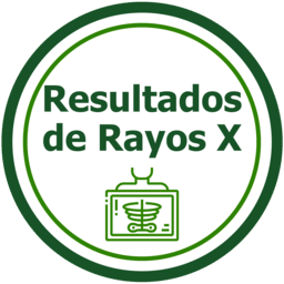 Ícono de resultados de Rayos X. Enlace para consultar resultados de exámenes radiológicos.